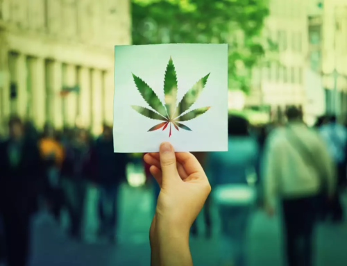 Marcelo Morante «Hay un consenso social sobre el cannabis medicinal»