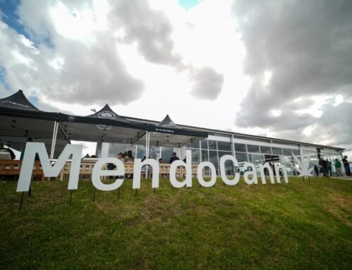 Misiones y Mendoza: El cáñamo como nuevo punto de encuentro federal