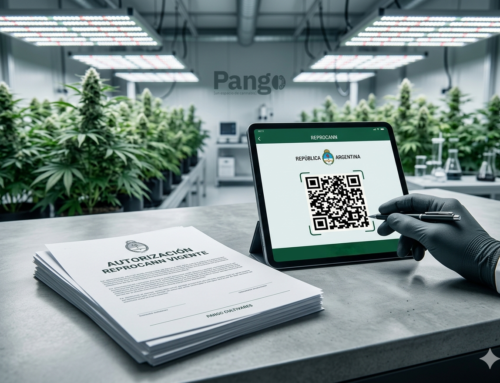 Bien plantados ante la ley: el paso a paso en caso de intervención policial