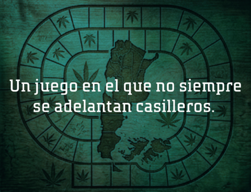 El tablero del cannabis en Argentina: Un juego en el que no siempre se adelantan casilleros.