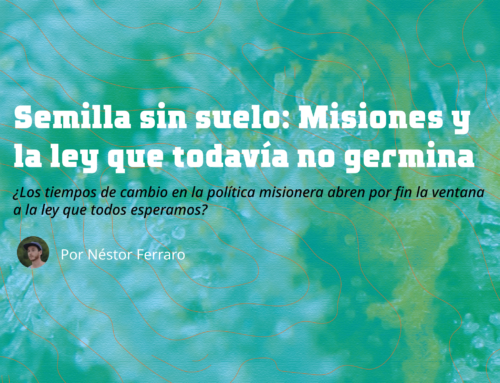 Semilla sin suelo: Misiones y la ley que todavía no germina